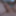 Photos from February 2022 #3