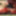 sounding dildo lingerie  shemale 2