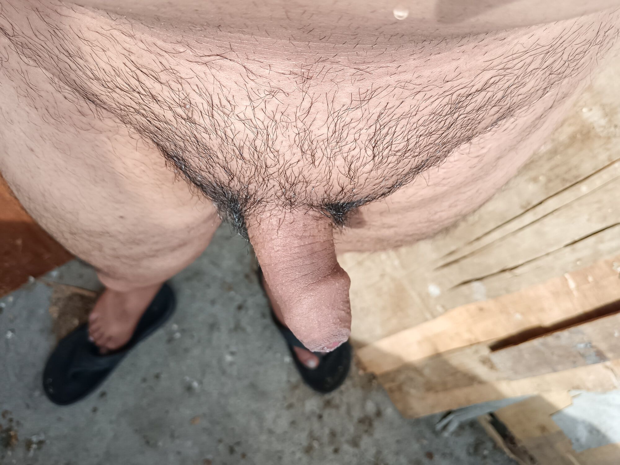 My Rich Dick without Erection and without hair removal - 02 #25