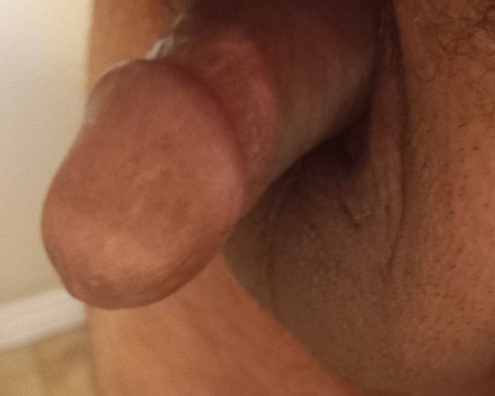 Small circumcised cock! #3