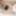 Sextermedia Girl Angie exclusiv