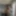 Ücretsiz honneybunnyxo fotoğrafları