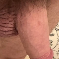 Morning Glory 