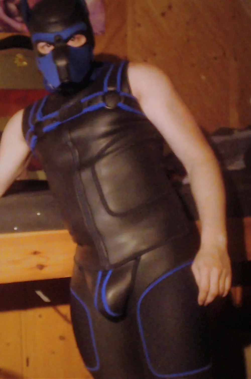 PetplayNeoprene #15