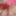 Big beautiful woman plays with her pink dildo #10
