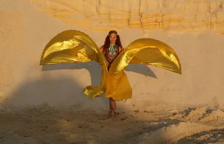 with golden wings on setting sun         