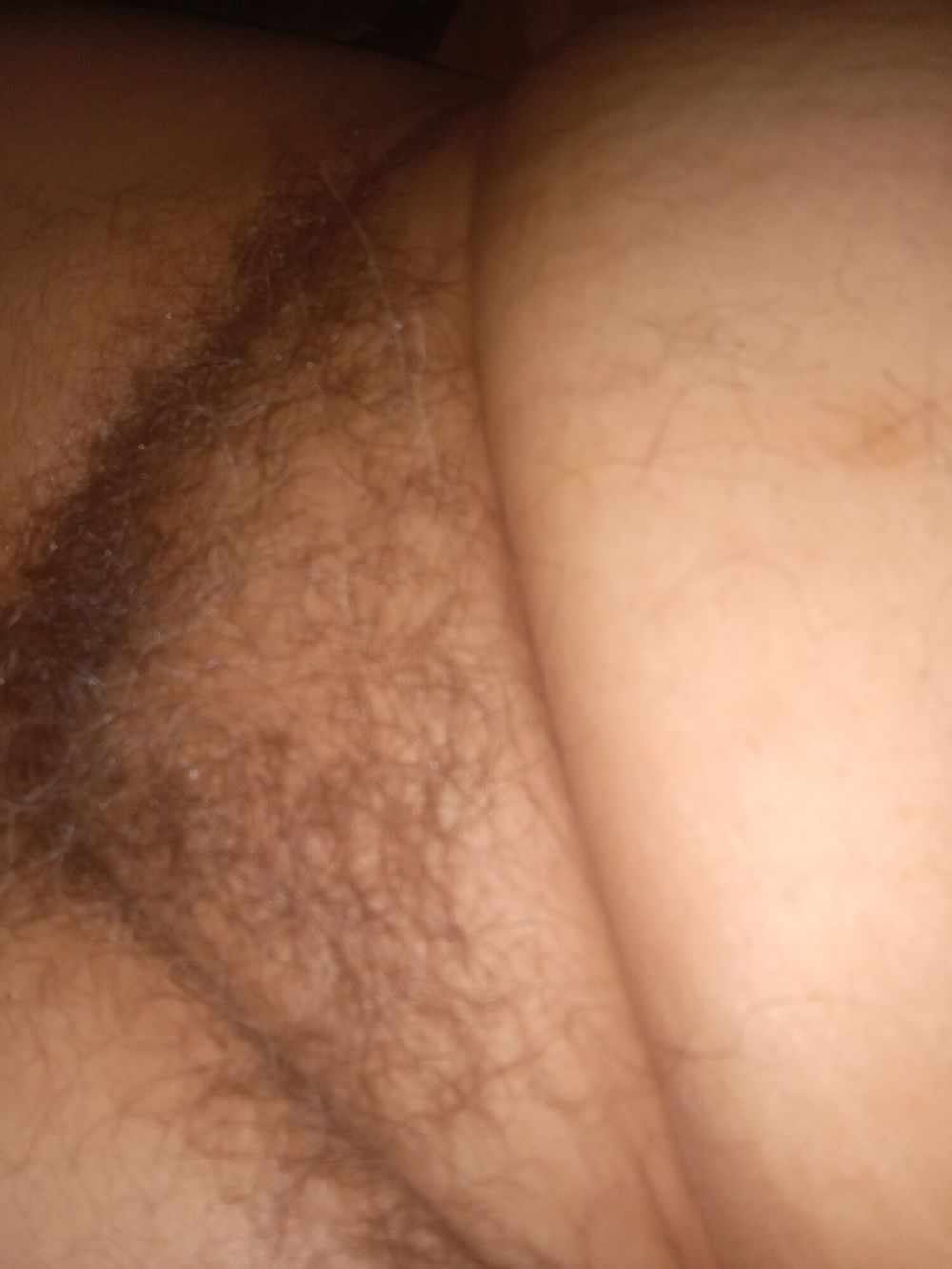 Solo.pelos hairy pussy #21