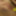 The banana dildo #6