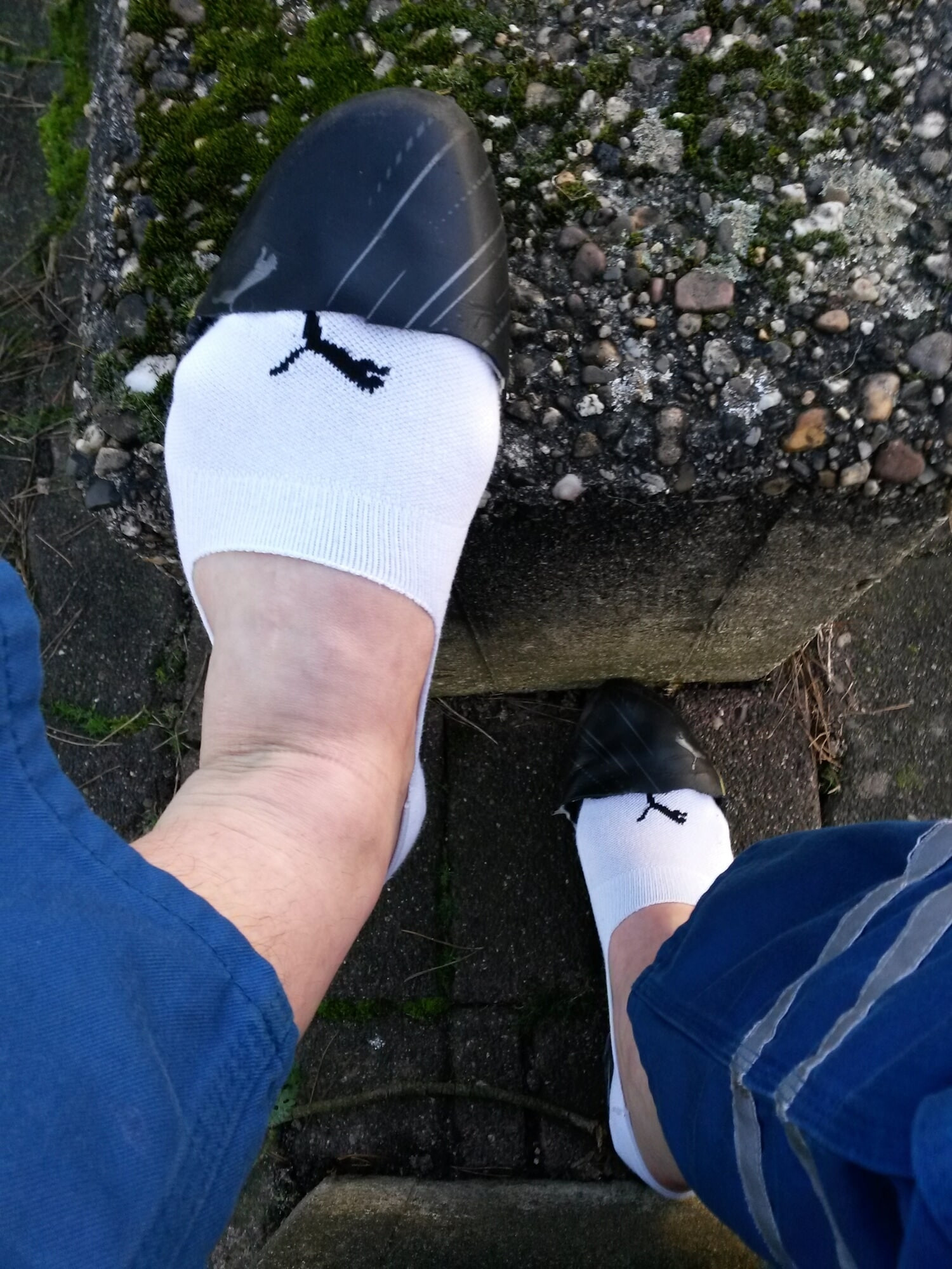NoShowSocks  #6