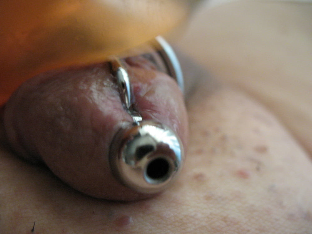 More steel in cock with glans rings #20