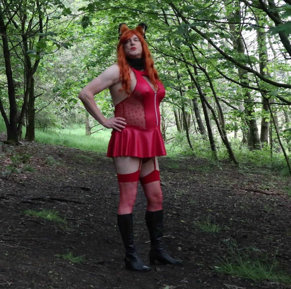 Would you like to hunt and catch this naughty little fox? #3