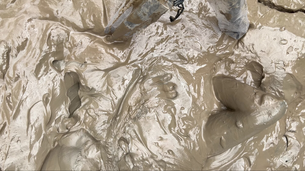 SHOT - MUD TONGUE  #18
