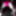 La Whore Maria Fluorescent pink hot #17