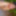 SelfiesNudes al Aire Libre (Excitado en la Calle) #22