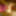 vtecdick - heels, dress, thong dildo crossdresser #44