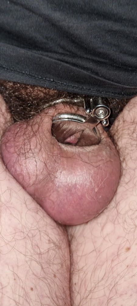 My new chastity cage after 2 days #17