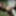 Teen Girl Strap-on pegging Teen Guy outdoors, femdom, BDSM #9