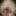 Linda asian ts champagne and big black pearl dildo #30