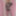 Joanie - Oh La La Cheri Floral Embroidered Lingerie #5