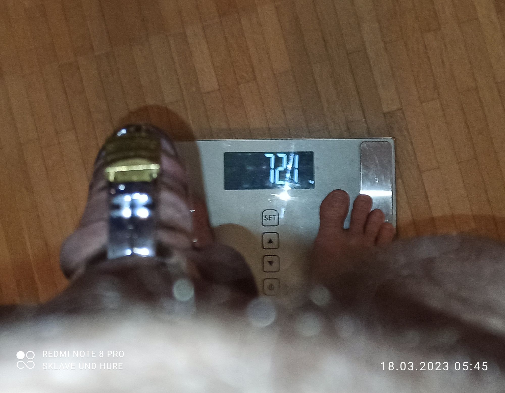 mandatory weighing and cagecheck of 18.03.23 #14