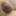 micro penis or big clit? #17