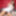 FRANKS-TGIRLWORLD:テイラのための白いドレス!