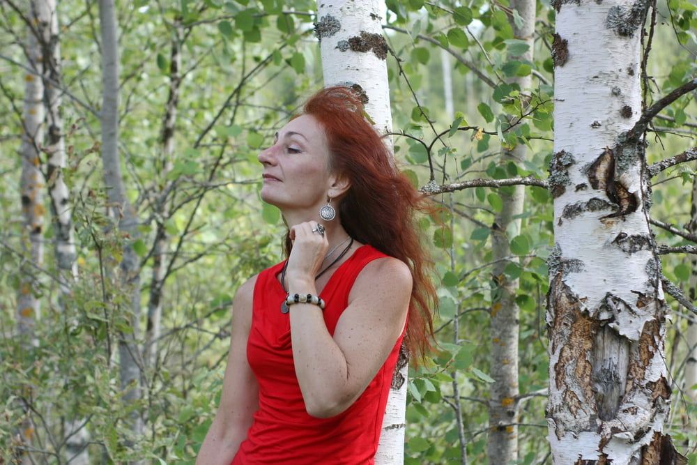 Among Birch #11