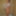 Kinky beauty masturbates in the shower for me #10