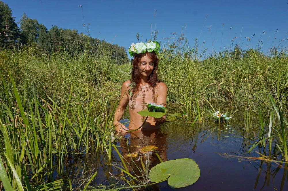 In pond with waterflowers #6