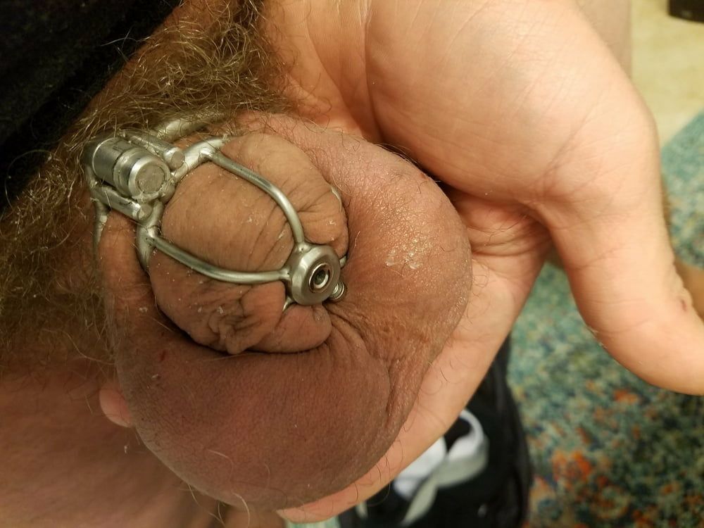 Permanent Chastity 