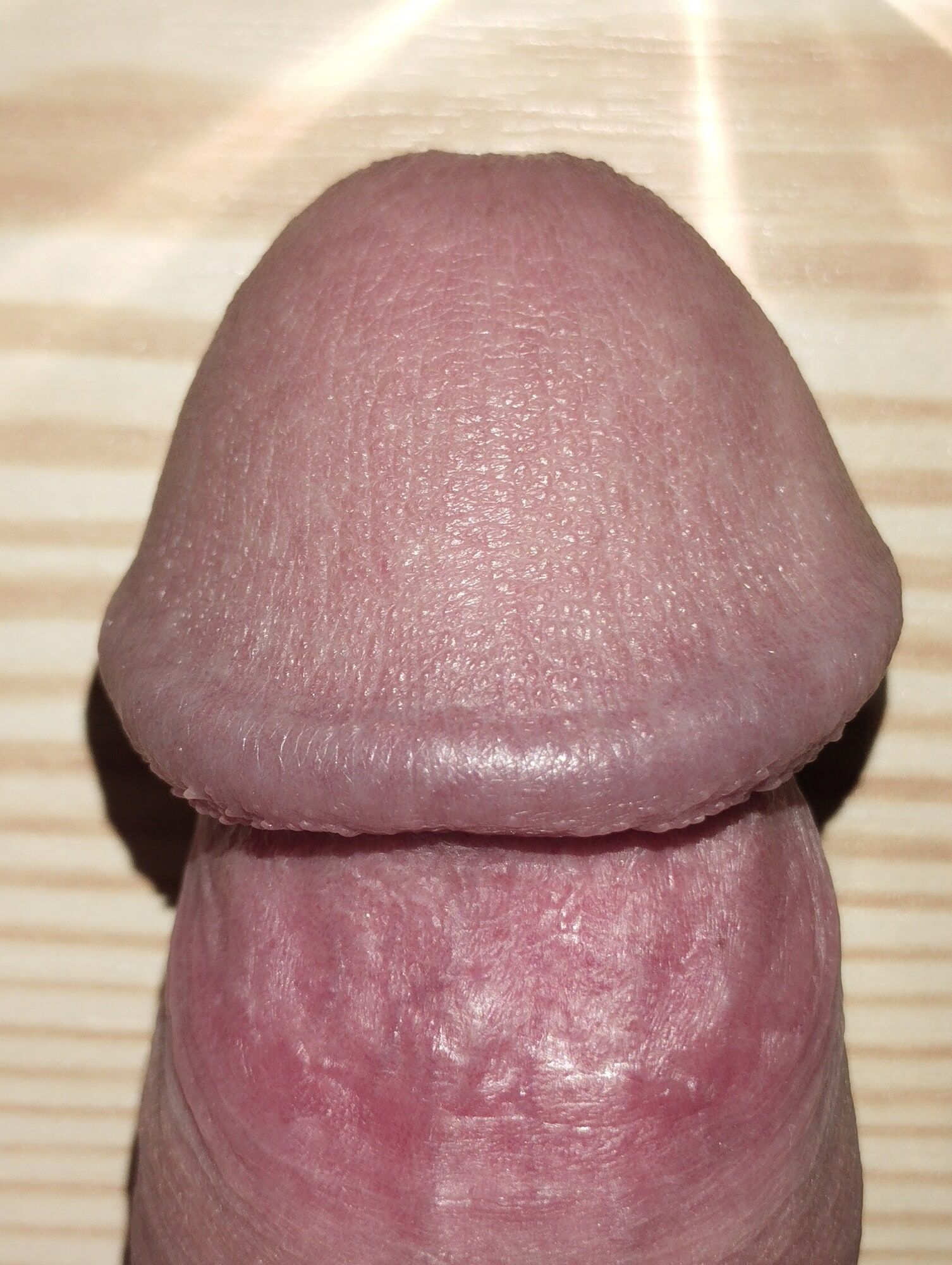 Close up dick on table