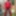 Sexy Crossdresser kellycd2022 in red bodysuit and stockings  #6