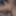 Pantihose big swollen shecock pre cum and cum dribbling #39