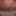 My pissing cunt in detail #2