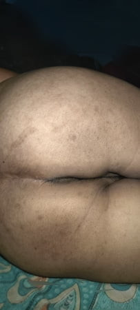 Anil