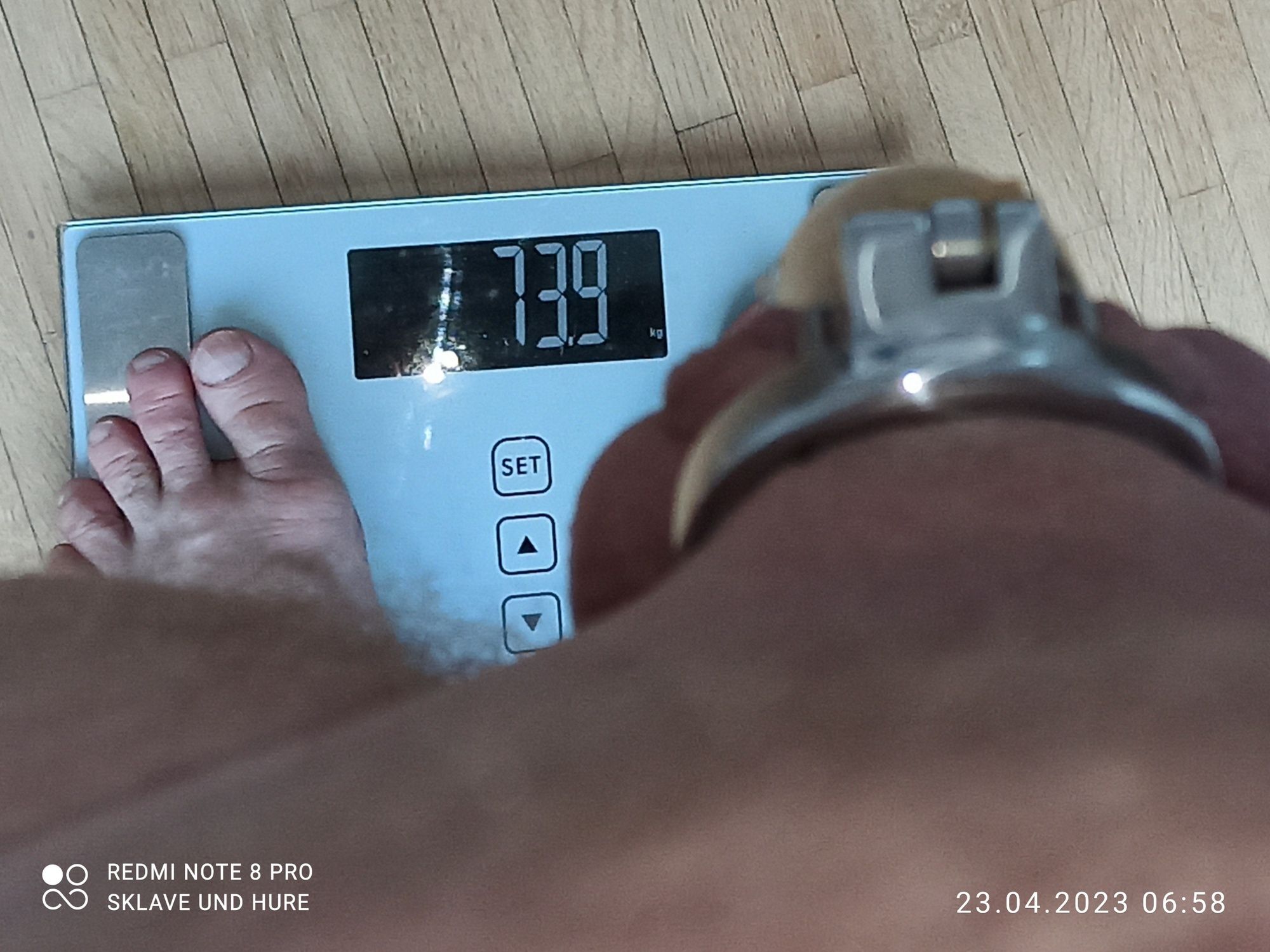 mandatory weighing and cagecheck of 23.04.2023 #6