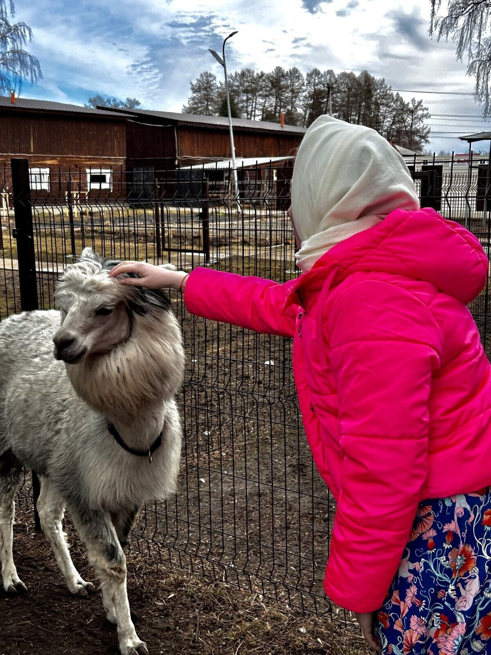 Tina Free Photos #15