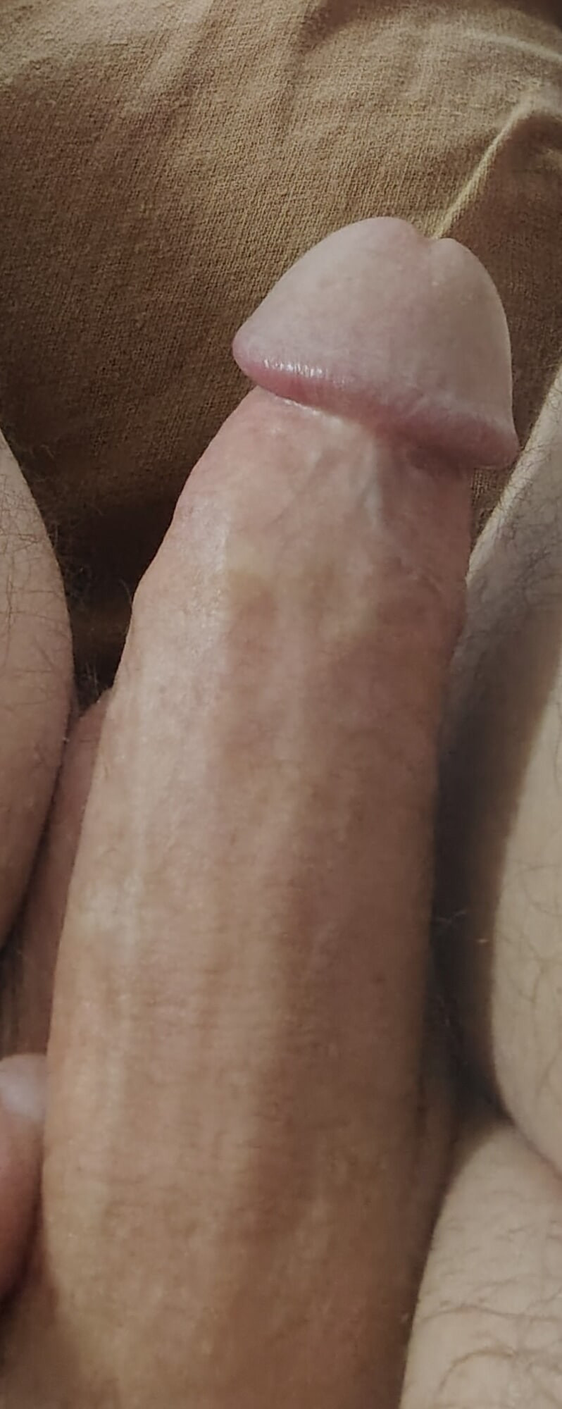 Pics #11