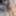 Very handsome hairy alpha male with a huge dick #3