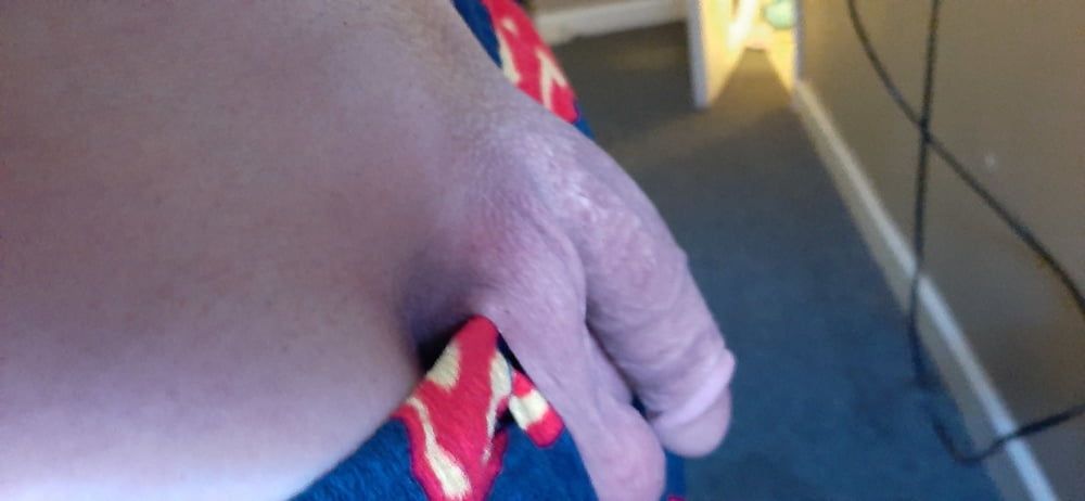 hubbys dick soft and hard #9