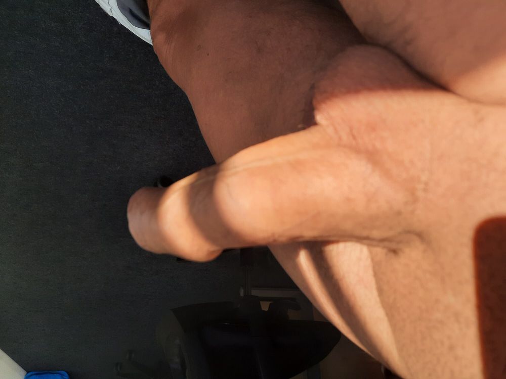 Horny cock  #3