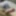 Cock and ass pics