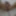 Lizzy Yum orgasm database 2023 #2