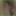 Annadevot - Enjoy my cunt in close-up