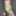 Green & Black #14