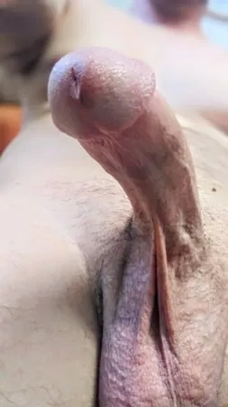 Big Hard Juicy Cock