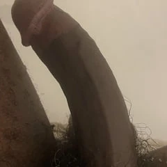 bbc