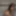 Alexa Free Photos