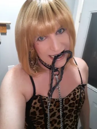 fetish and bondage         