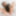 CANADA-TGIRL: A Taste Of Creamy Eclaire